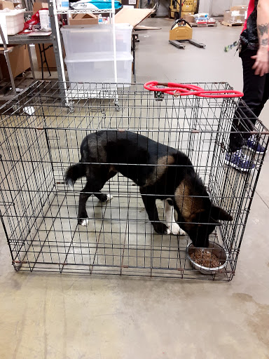 Pet Supply Store «Care-A-Lot Pet Supply», reviews and photos, 1924 Diamond Springs Rd, Virginia Beach, VA 23455, USA