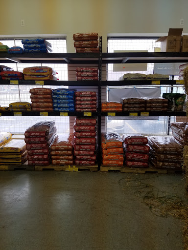 Pet Supply Store «Detroit K9 Pet Supply Fenkell», reviews and photos, 18362 Fenkell Ave, Detroit, MI 48223, USA