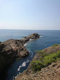 Photo n°38 de Restaurant L'Île Verte à La Ciotat ()