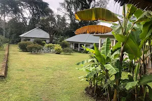 Kilimanjaro Coffee Lodge image