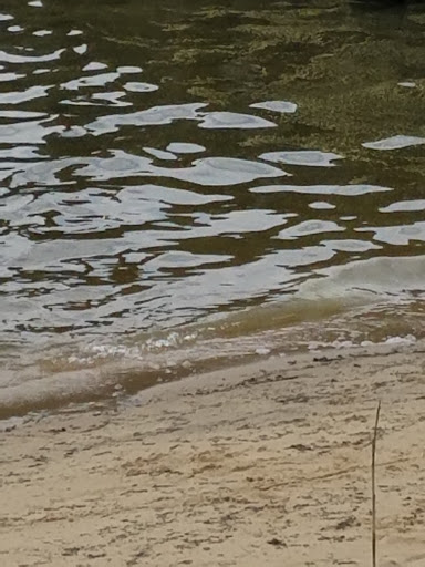 State Park «Hammerman Area Beach», reviews and photos, 7200 Graces Quarters Road, Middle River, MD 21220, USA