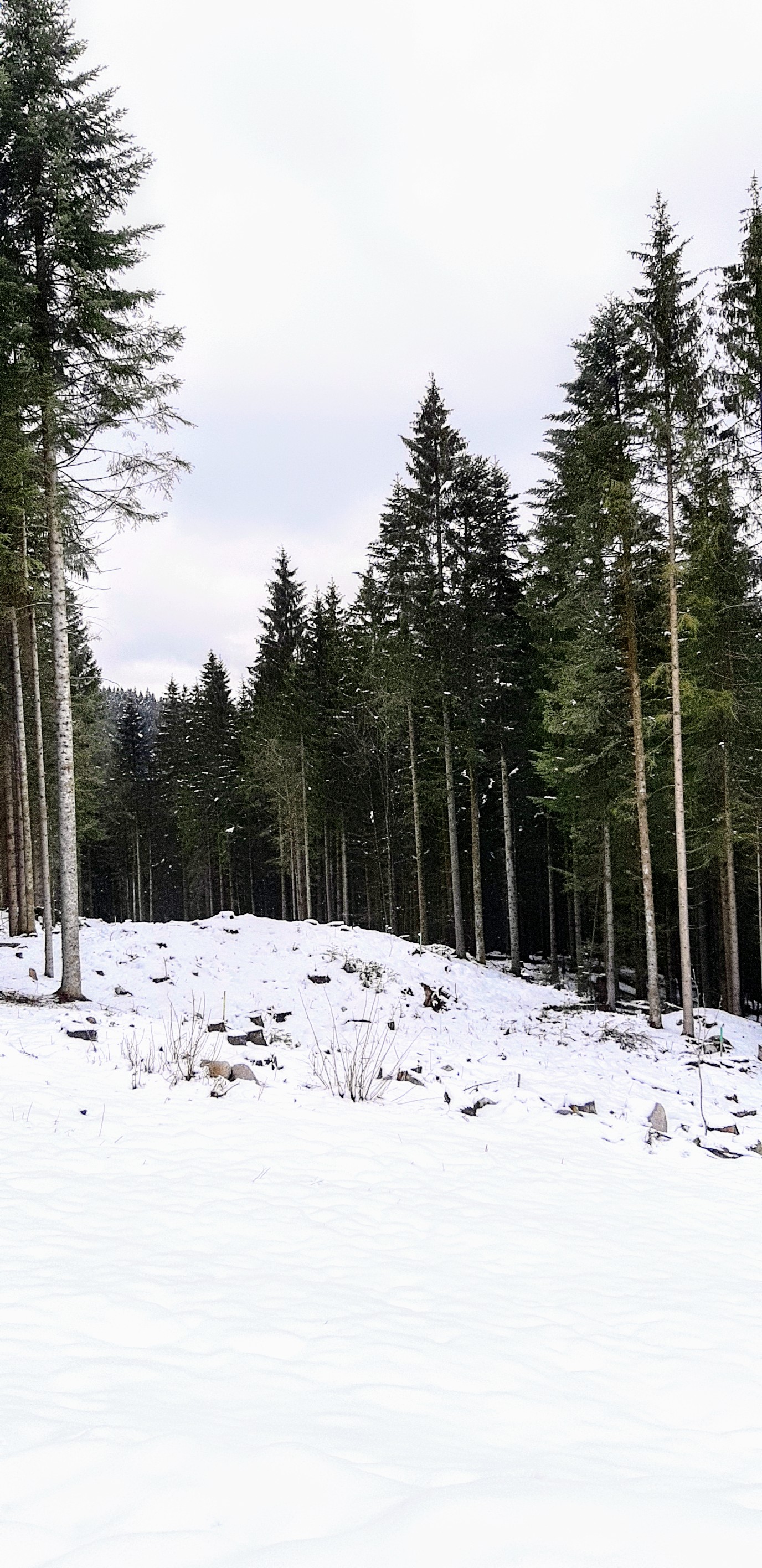Photo n° 6 de l'avis de betty.o fait le 14/04/2019 à 10:33