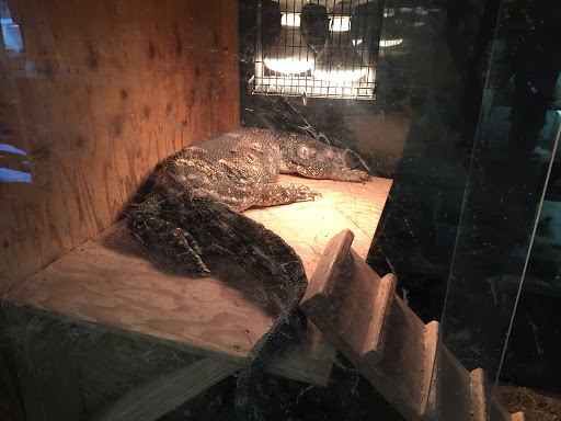Reptile Store «Shedskin Reptile», reviews and photos, 1005 E Pescadero Ave #191, Tracy, CA 95304, USA