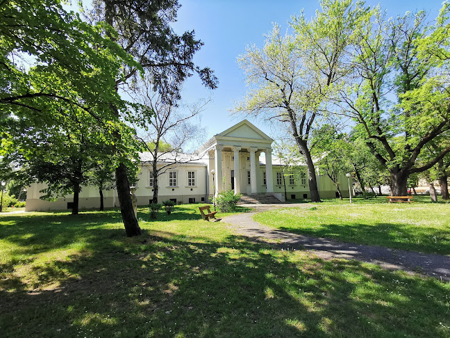 Kecskeméti Katona József Múzeum