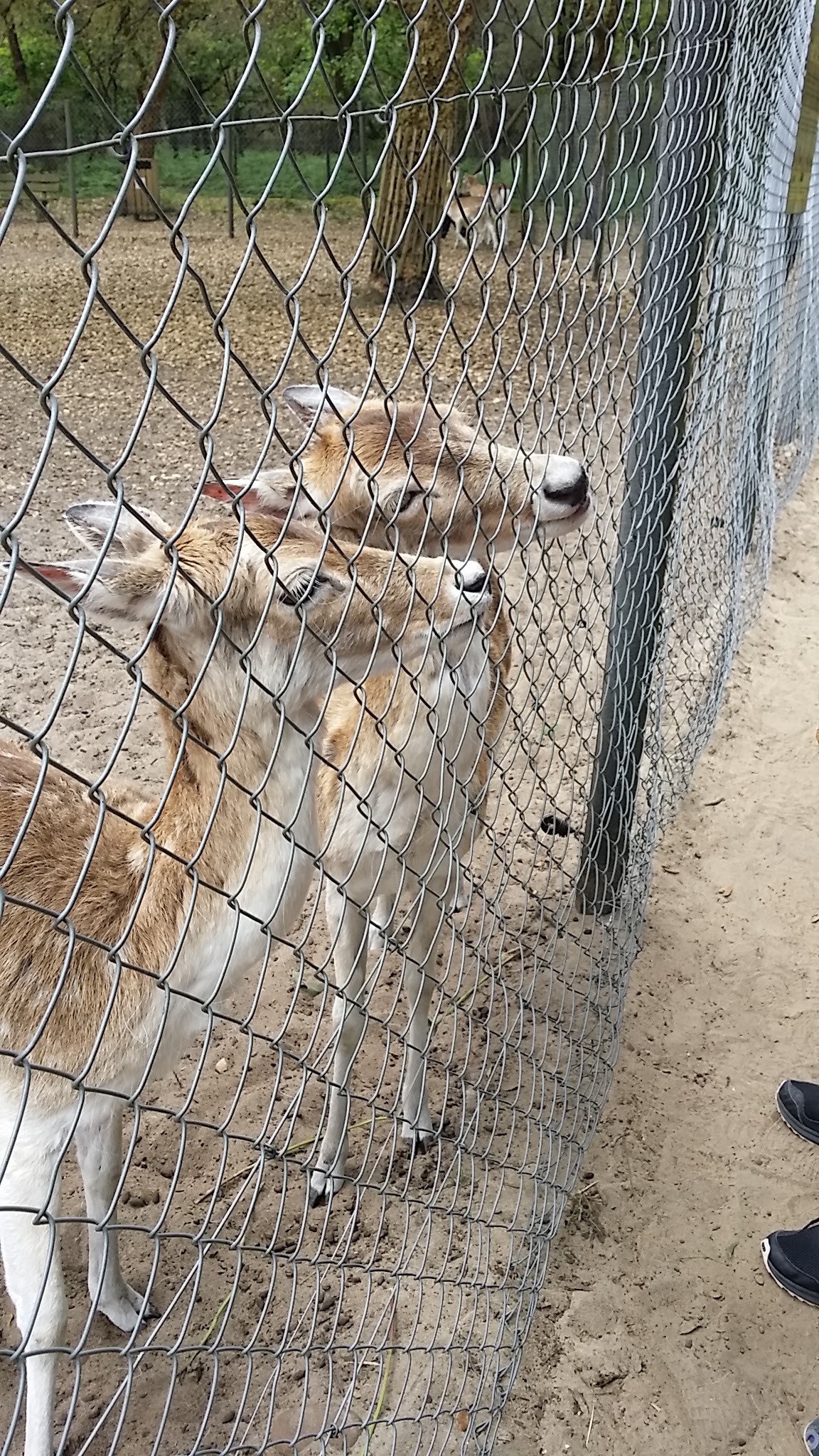 Photo n° 3 de l'avis de Nadine.a fait le 08/05/2018 à 16:39