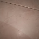 Photo n°6 de l'avis de Iryna. fait le 06/10/2020 à 17:01 sur le  Hotel Bologna à Pisa