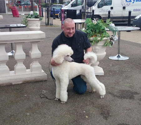 Pedigrees n Pooches Mobile Dog Grooming