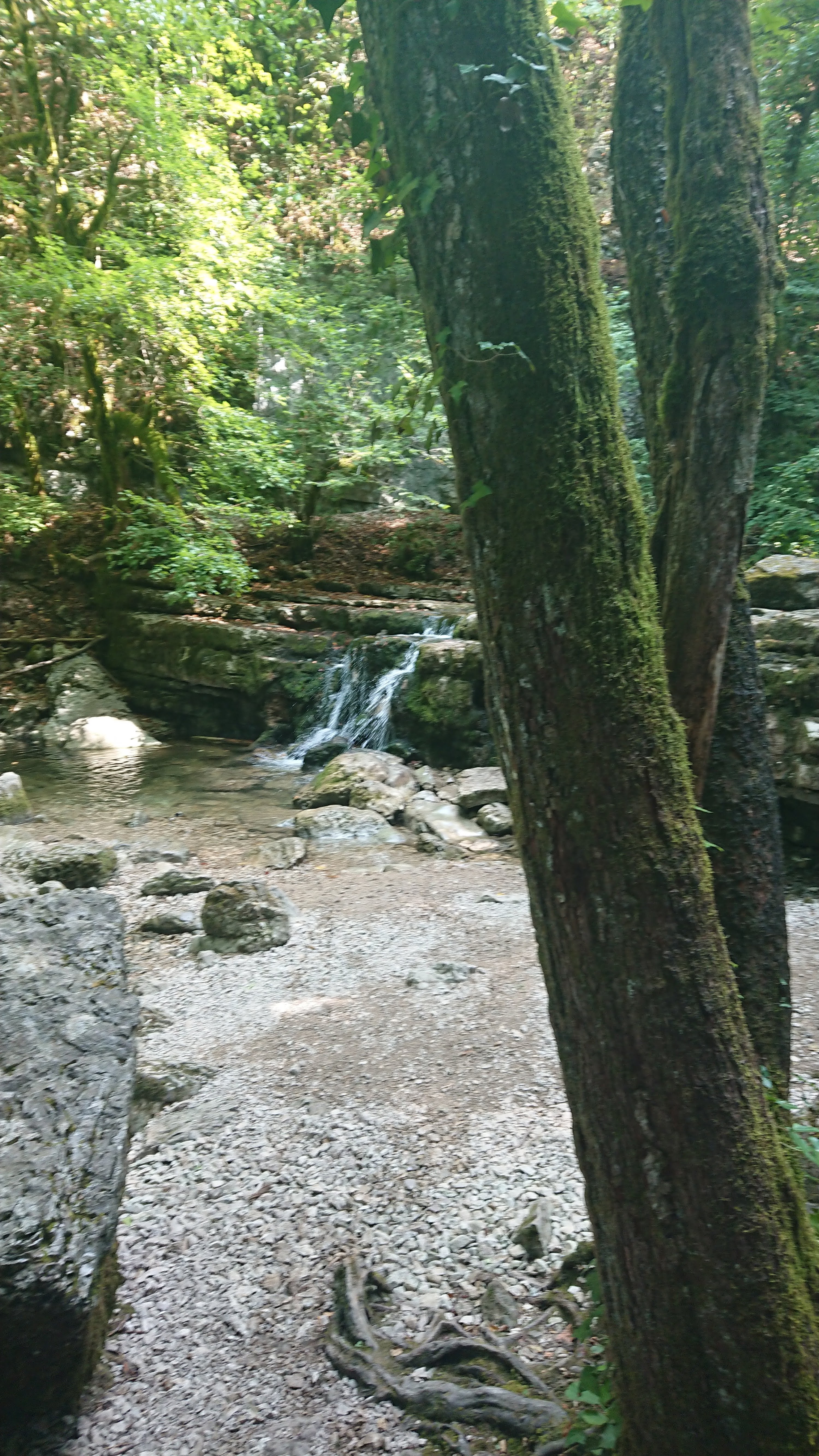 Photo n° 2 de l'avis de Gaetan.a fait le 02/08/2018 à 16:08