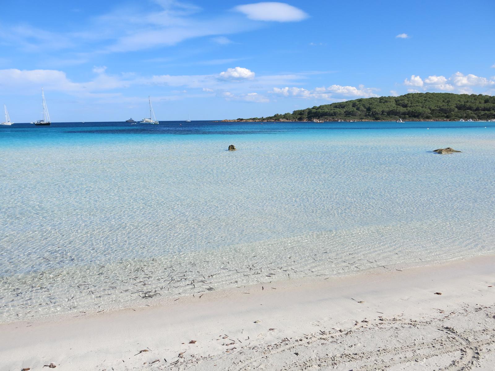 Cala Brandinchi Plajı'in fotoğrafı doğal alan içinde bulunmaktadır