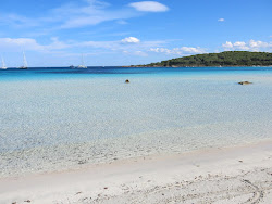 Cala Brandinchi Plajı'in fotoğrafı doğal alan içinde bulunmaktadır