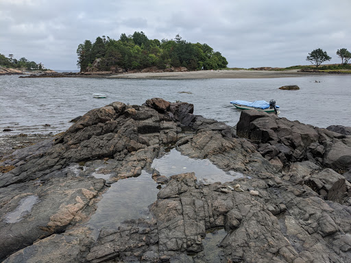 Nature Preserve «Steer Swamp Conservation Area», reviews and photos, 188 Washington St, Marblehead, MA 01945, USA