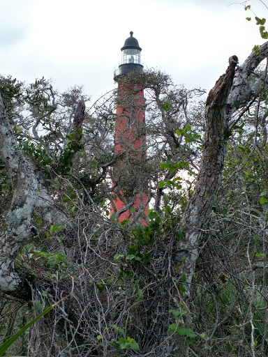 Science Museum «Marine Science Center», reviews and photos, 100 Lighthouse Dr, Ponce Inlet, FL 32127, USA