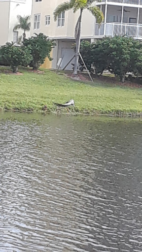 Golf Club «East Bay Golf Club», reviews and photos, 702 Country Club Dr, Largo, FL 33771, USA