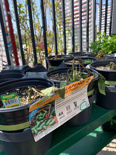 Department Store «Walmart Supercenter», reviews and photos, 200 Academy Dr, Ripley, WV 25271, USA