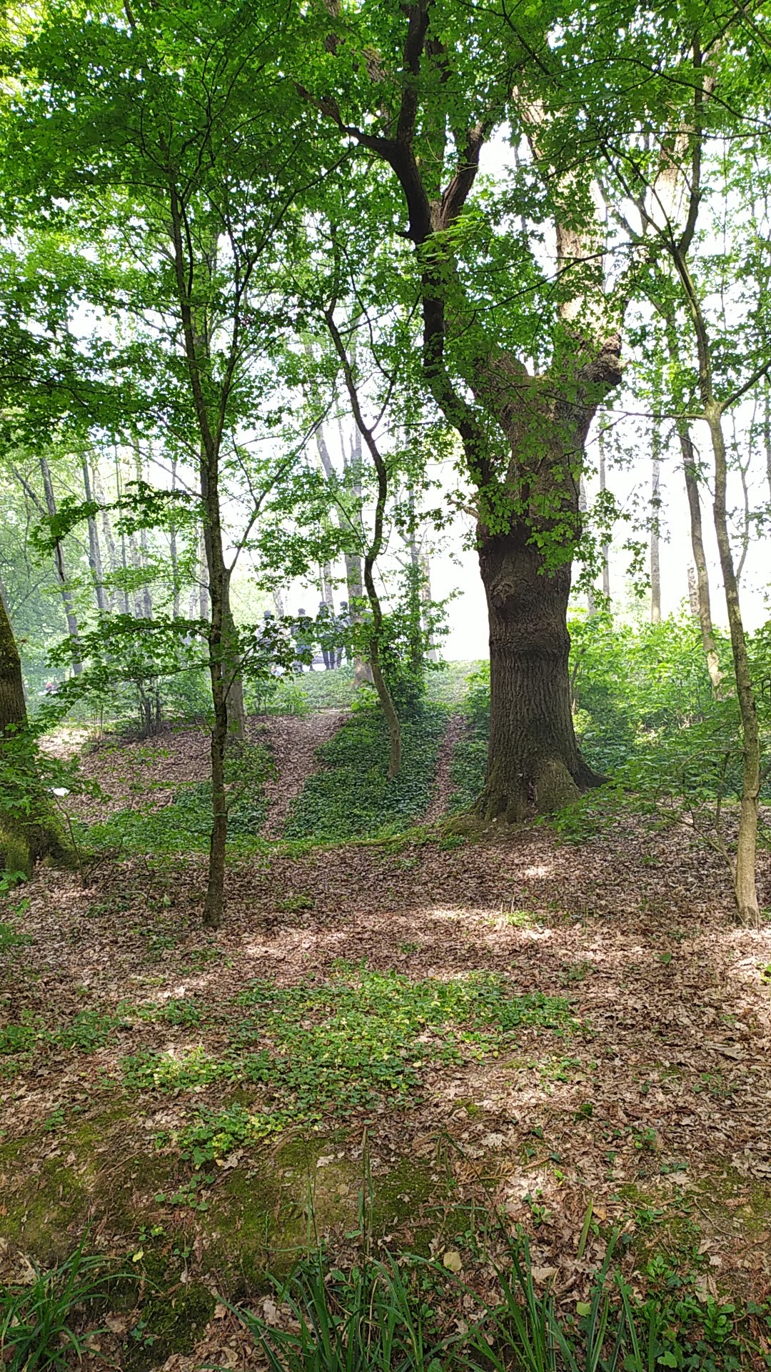 Photo n° 1 de l'avis de Harmonie.i fait le 21/04/2019 à 14:05
