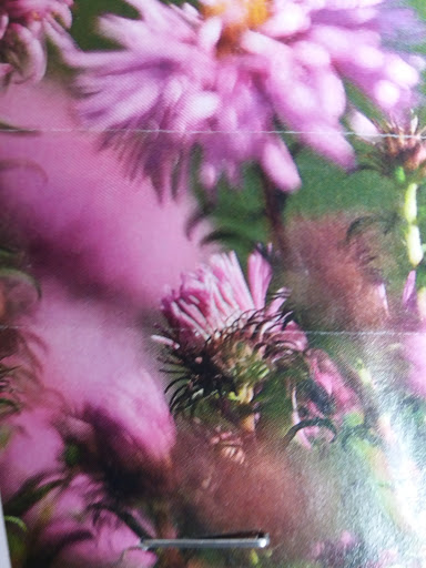 Public Golf Course «Shoreline Golf Links», reviews and photos, 2940 N Shoreline Blvd, Mountain View, CA 94043, USA