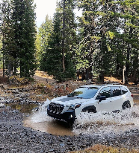 Subaru Dealer «Flemington Subaru», reviews and photos, 167 NJ-31, Flemington, NJ 08822, USA