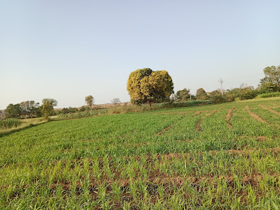 Municipal department of agriculture food supply