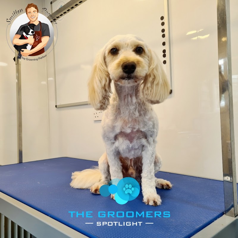 Smitten Pooches Dog Grooming