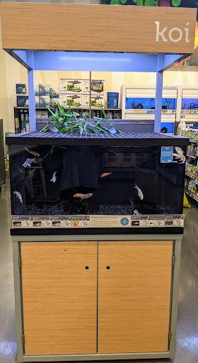 Pet Supply Store «Petco Animal Supplies», reviews and photos, 12444 NW 10th St #301, Yukon, OK 73099, USA