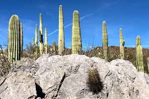 Pima County El Camino del Cerro Trailhead image