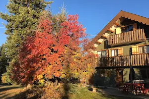 Ruth Lake Lodge Resort image