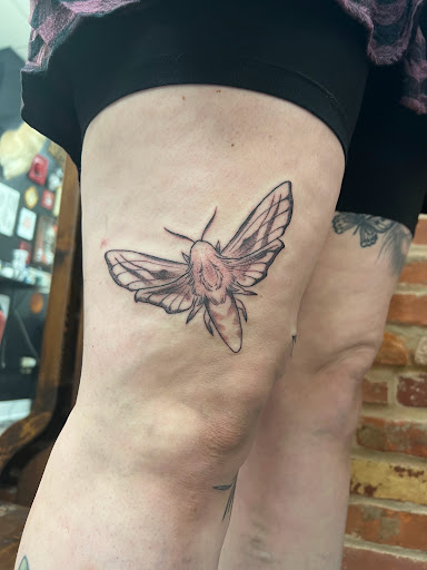 Explore pitbull tattoo ideas, creative tattoo ideas in Leola, available at Sweet Omens