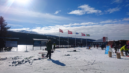 Ski Team Sweden Moguls
