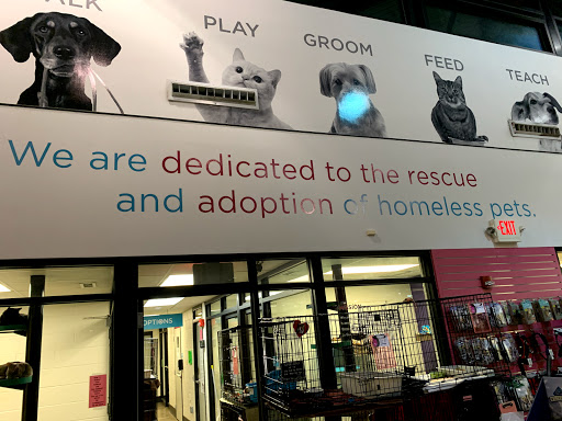 Animal Shelter «One of A Kind Pet Rescue», reviews and photos, 1929 W Market St, Akron, OH 44313, USA