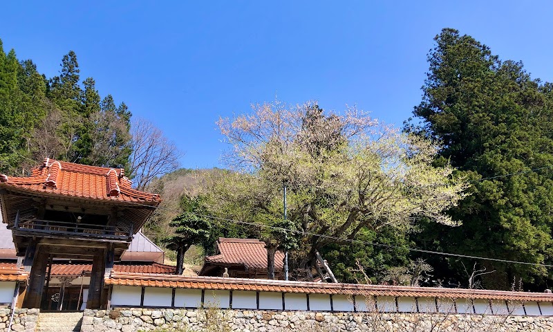 城福寺