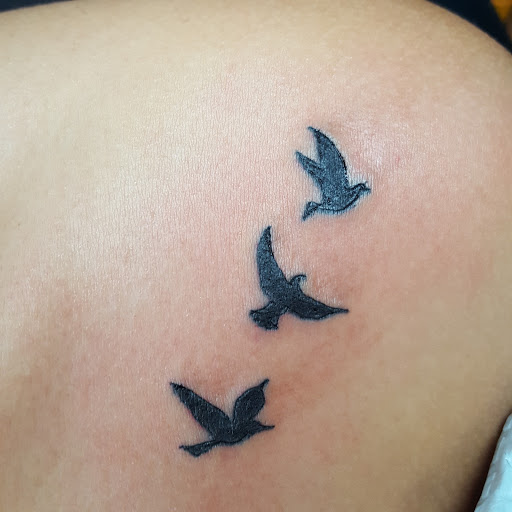 Tattoo Shop «My Tattoo Shop, Fort Lauderdale», reviews and photos, 900 W Sunrise Blvd, Fort Lauderdale, FL 33311, USA