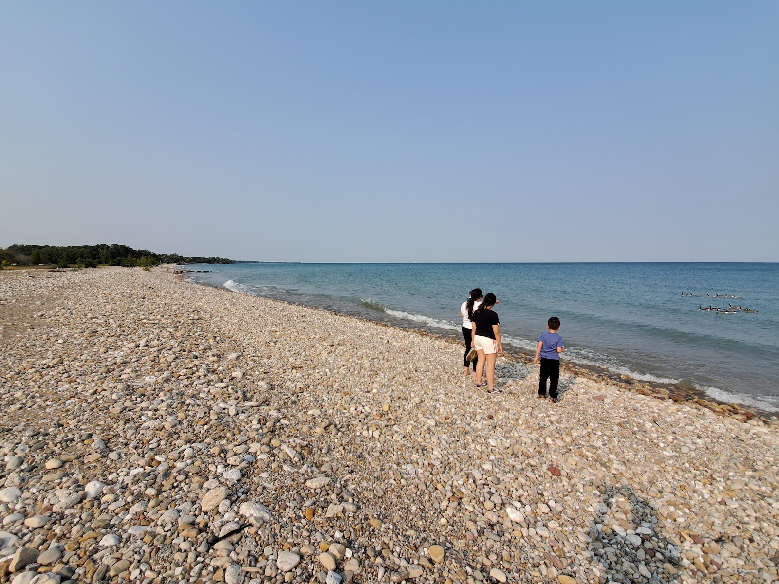 Alford Beach'in fotoğrafı imkanlar alanı