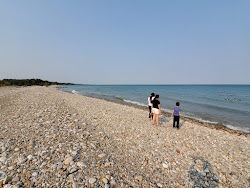 Photo de Alford Beach zone des équipements