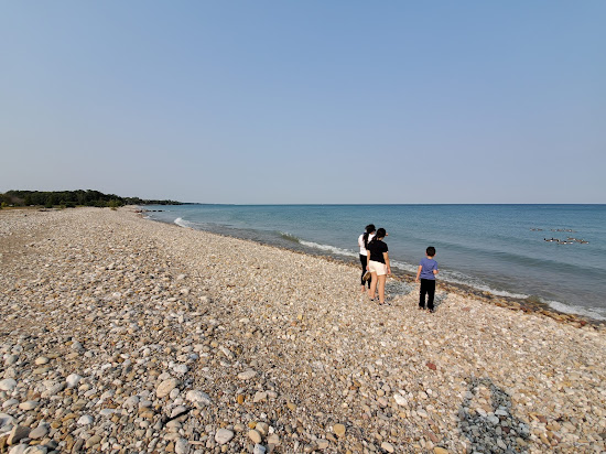 Alford Beach
