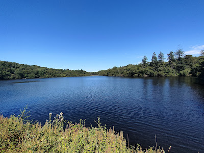 Espace naturel départemental de la forêt de la Corbière à Châteaubourg