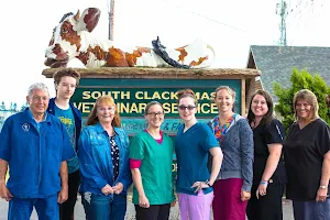 South Clackamas Veterinary Services image