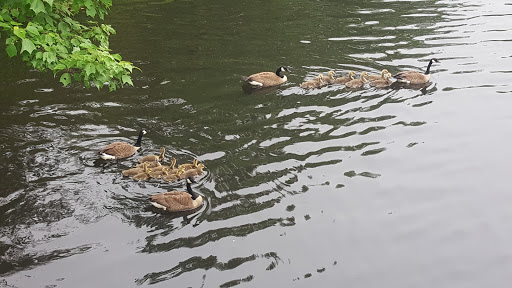 Park «Wood Park», reviews and photos, 65 Park St, Hudson, MA 01749, USA