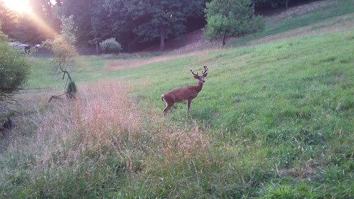 Sporting Goods Store «Chesapeake Outdoors», reviews and photos, 1707 Main St, Chester, MD 21619, USA
