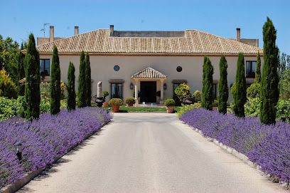 Información y opiniones sobre Bodegas y Viñedos Martúe de La Guardia