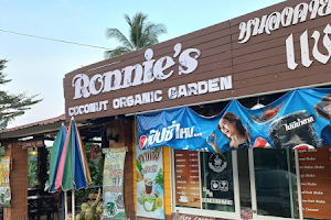 Ronnie's Organic Coconut Garden image