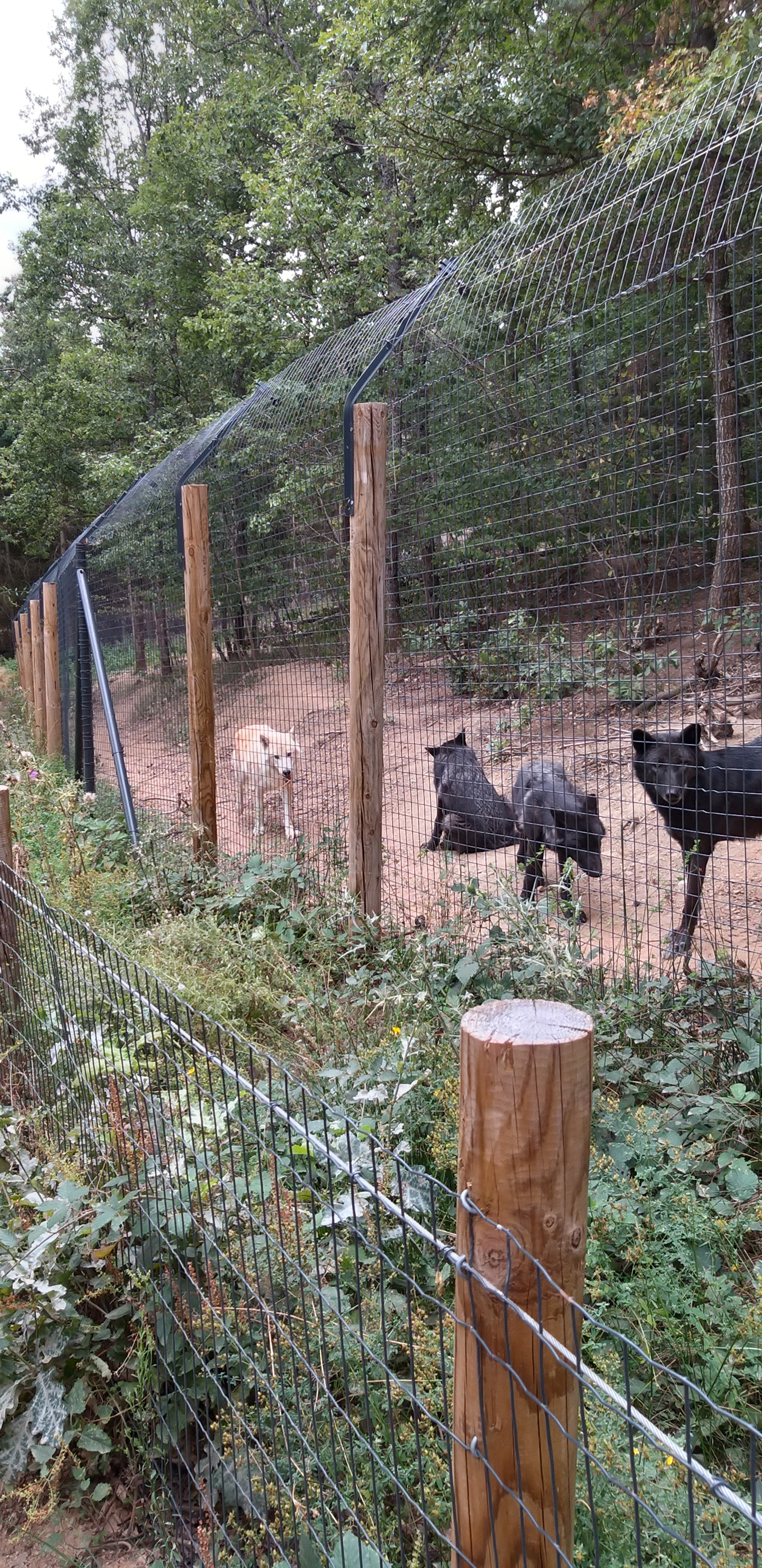 Photo n° 36 de l'avis de unmecdesannees80. fait le 08/09/2019 à 03:14