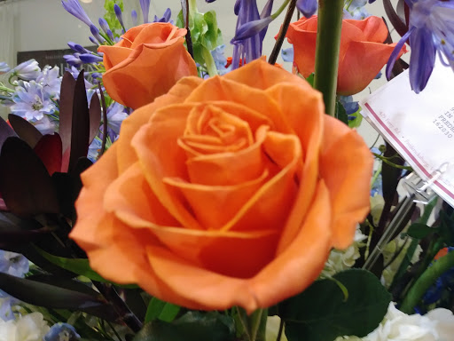 Beauty Salon «Bangz Salon», reviews and photos, 907 Caroline St, Fredericksburg, VA 22401, USA