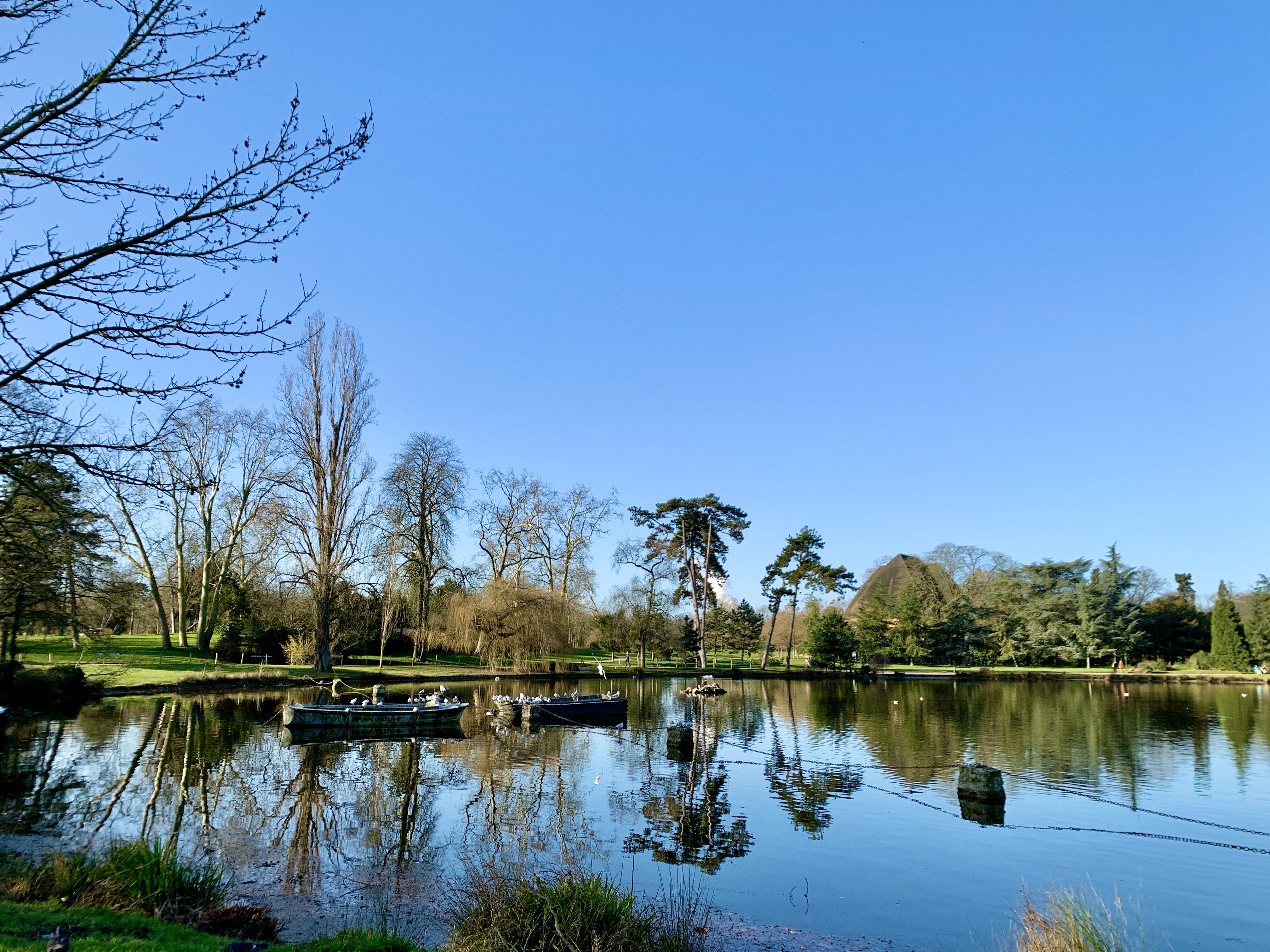 Photo n° 11 de l'avis de Agnès. fait le 10/02/2022 à 08:51