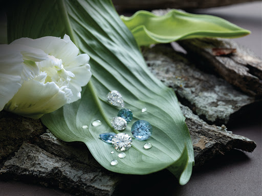 Jewelry Designer «Waldeland Jewelry & Gifts», reviews and photos, 1340 Duckwood Dr #11, Eagan, MN 55123, USA