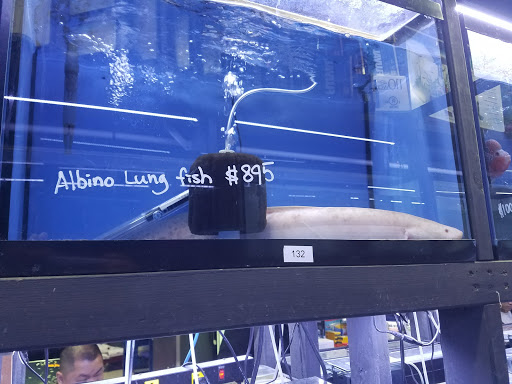 Pet Supply Store «Monster Aquarium Inc.», reviews and photos, 131-08 40 Rd, Flushing, NY 11354, USA