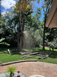 Abel Tree Services - Photo 8 - Car repair in St. Louis, MO, St. Louis