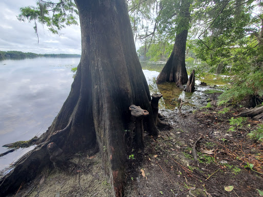 Park «Lake Mills Park», reviews and photos, 1301 Tropical Ave, Chuluota, FL 32766, USA