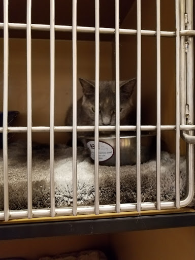 Pet Supply Store «PetSmart», reviews and photos, 161 Market St, Winchester, VA 22603, USA