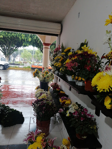 Floristería Portales – Ixhuatlán del Café
