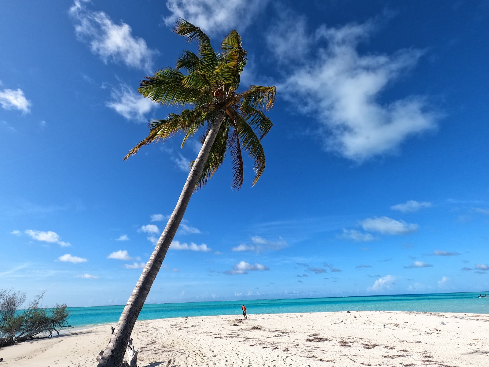 Fohtheyo bodufushi Beach'in fotoğrafı vahşi alan